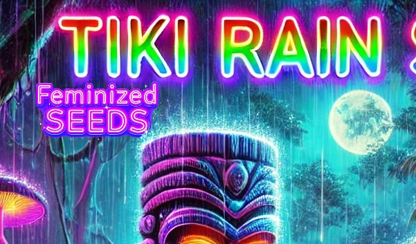 Tiki Rain Video